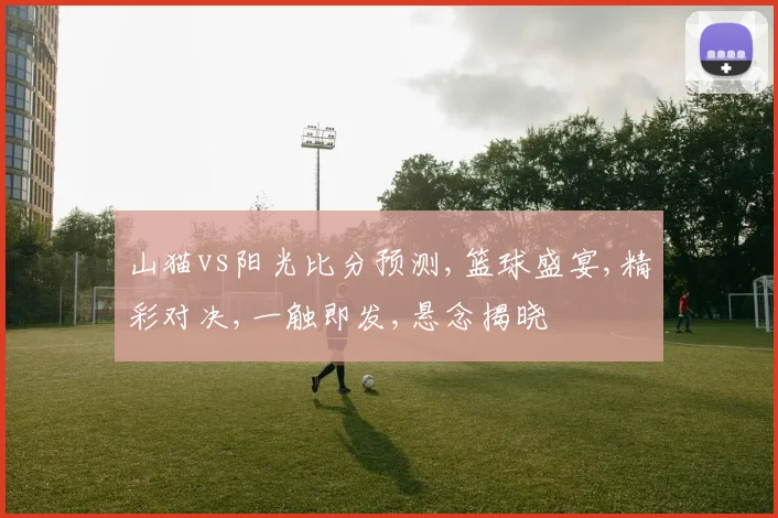 山猫vs阳光比分预测,篮球盛宴,精彩对决,一触即发,悬念揭晓