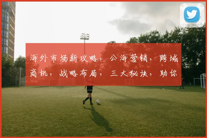 海外市场新攻略，公海营销，跨域商机，战略布局，三大秘诀，助你乘风破浪
