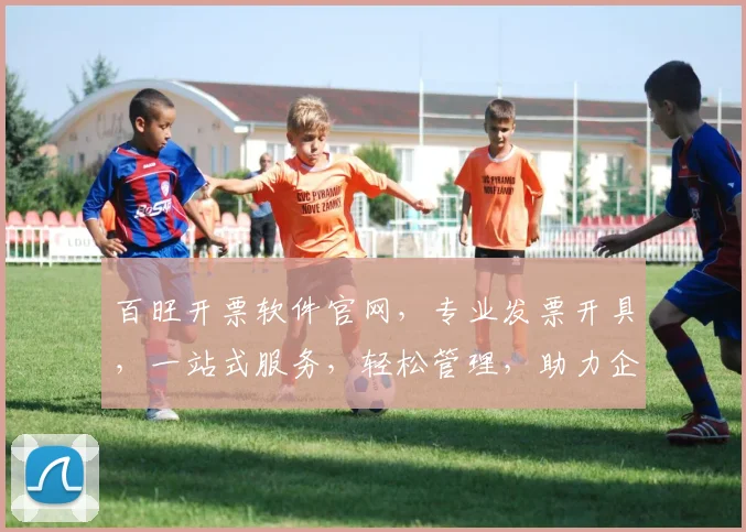 百旺开票软件官网，专业发票开具，一站式服务，轻松管理，助力企业高效运营